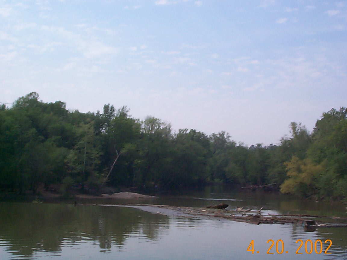 ./2002/Neuse River Bufaloe to Rogers/DCP01374.JPG